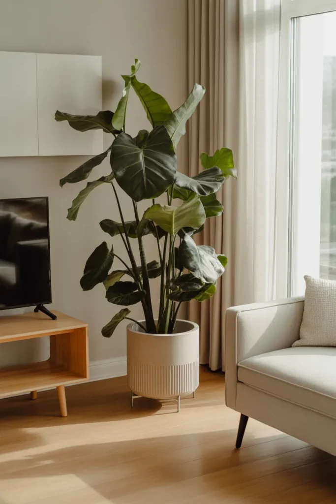 Living Room Corner Decor